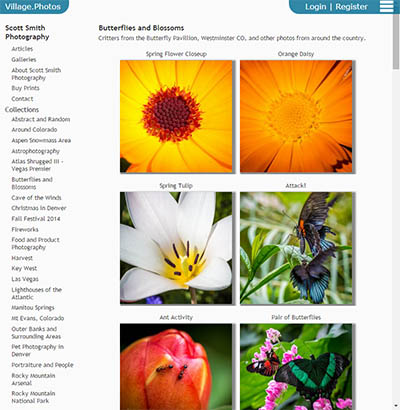 Elegant White Template for Village Photos members