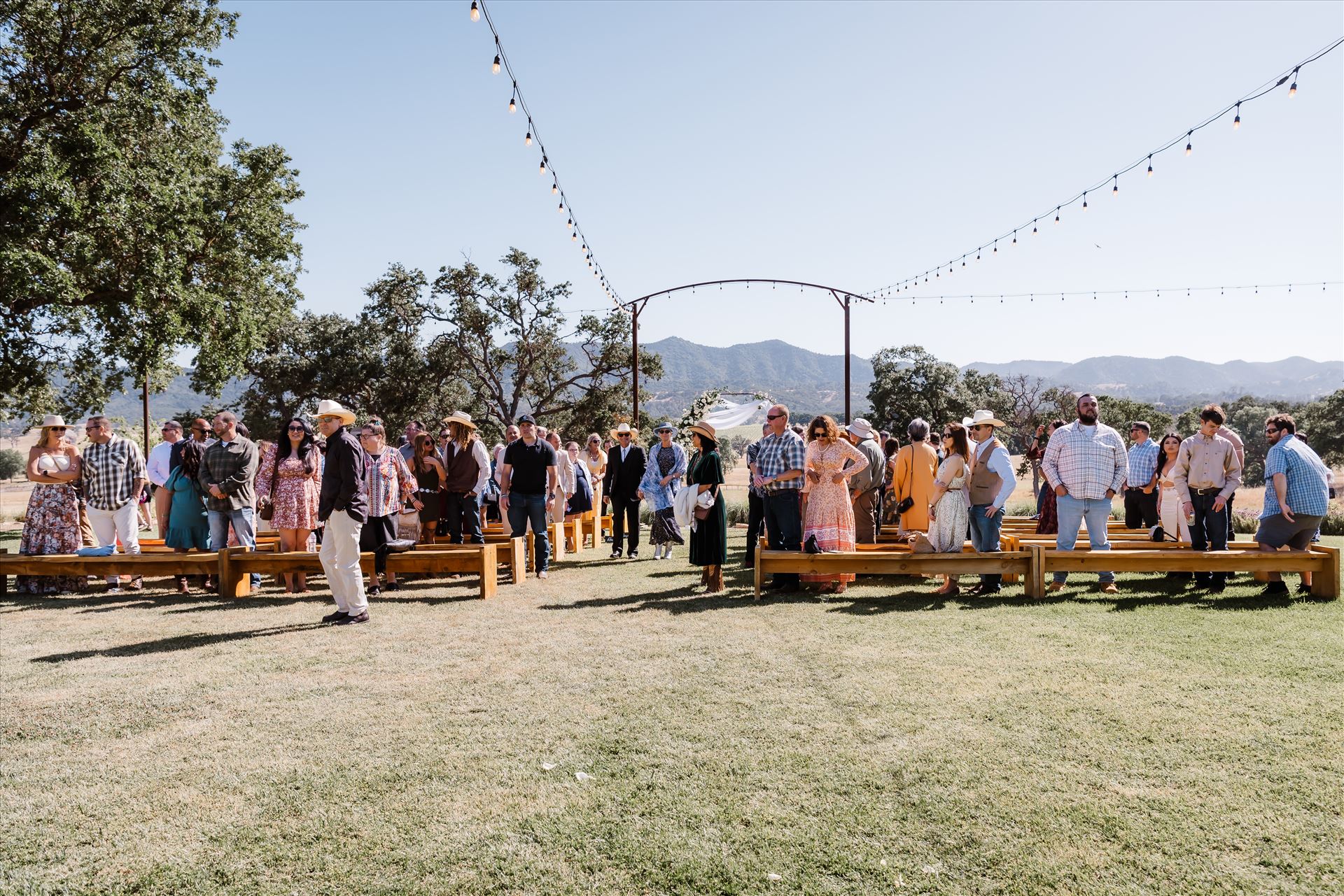 Final-1178.jpg  by TheGoodmans