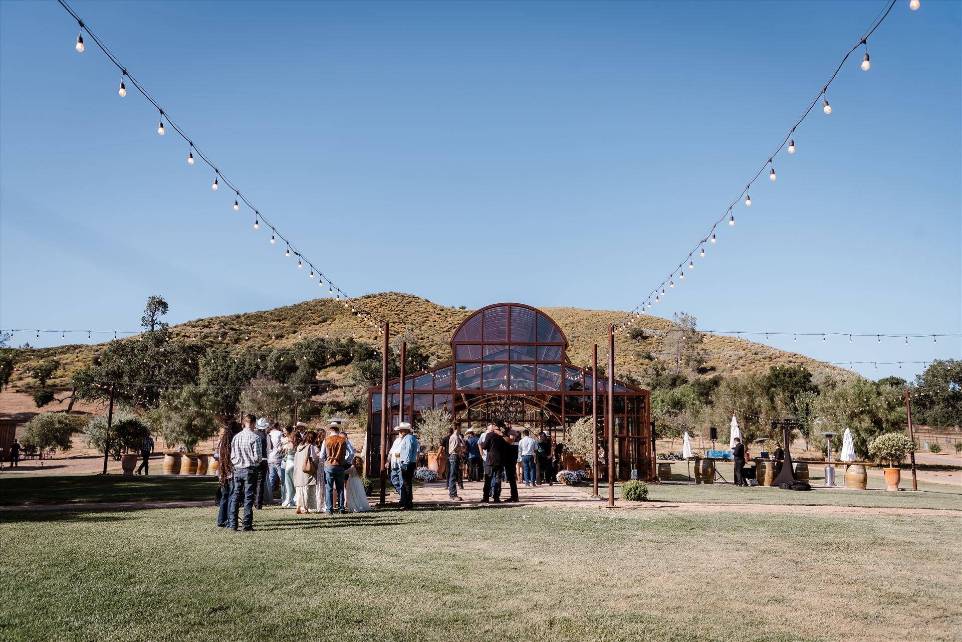 Final-1416.jpg  by TheGoodmans