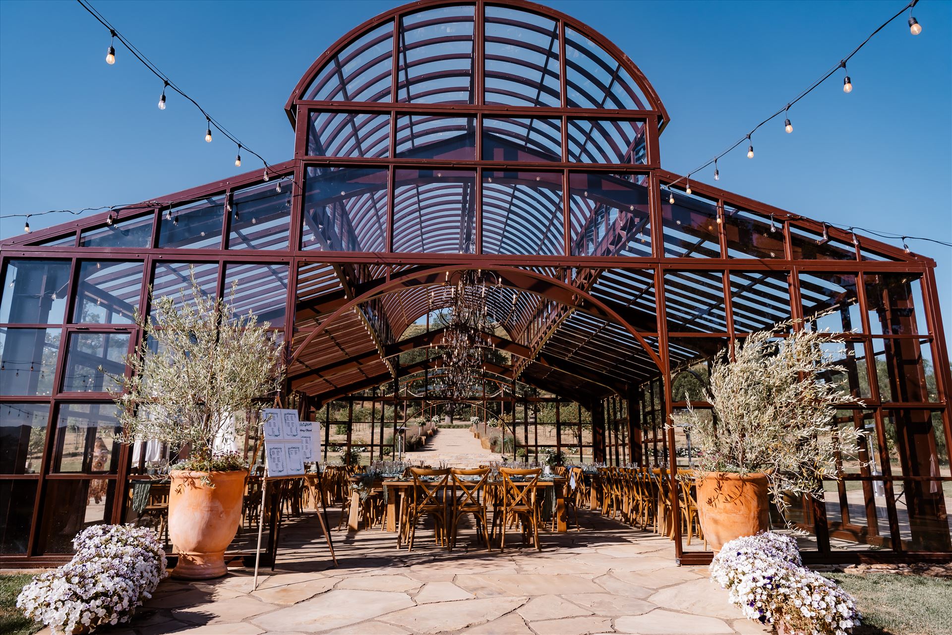 Final-1397.jpg  by TheGoodmans