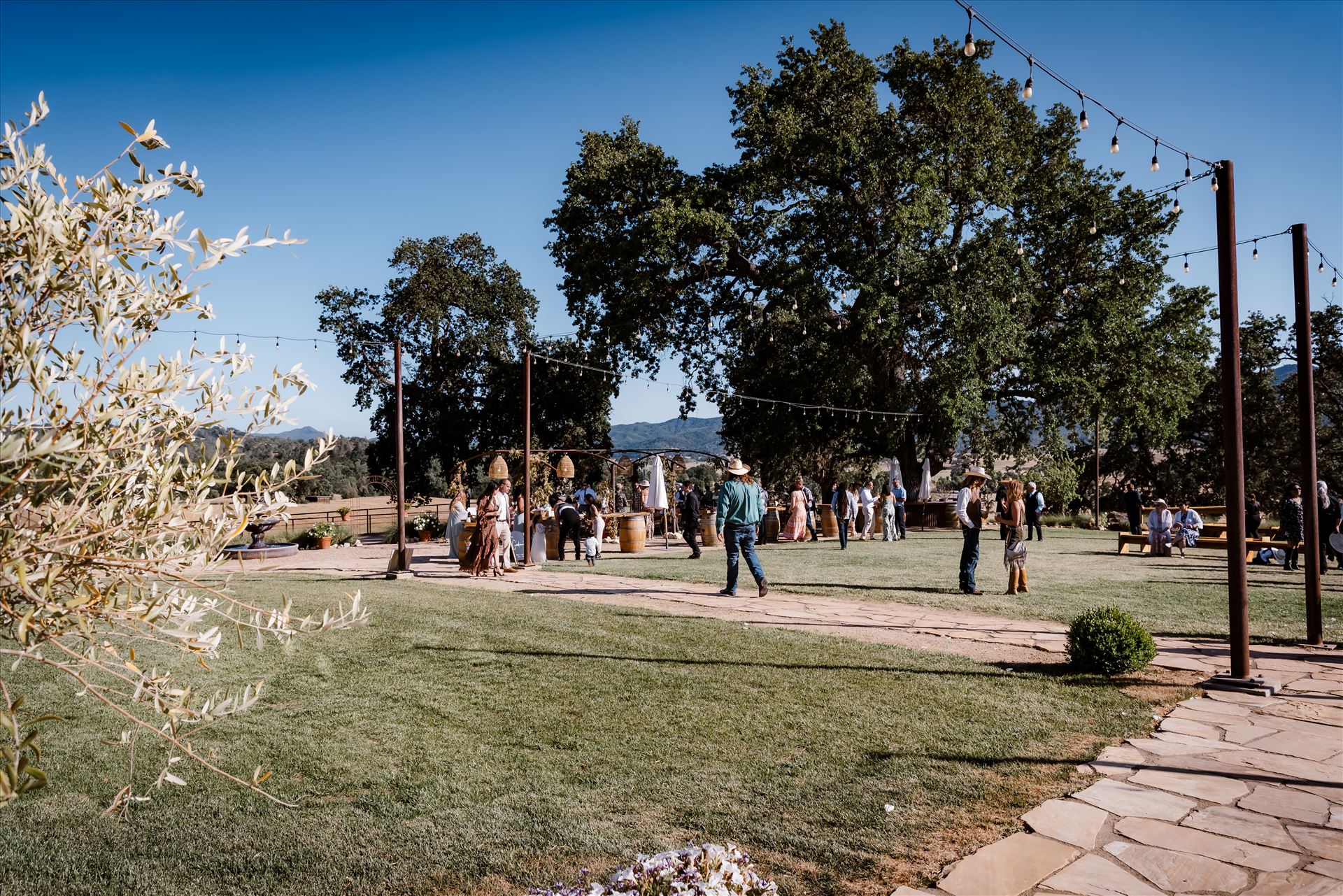 Final-1409.jpg  by TheGoodmans