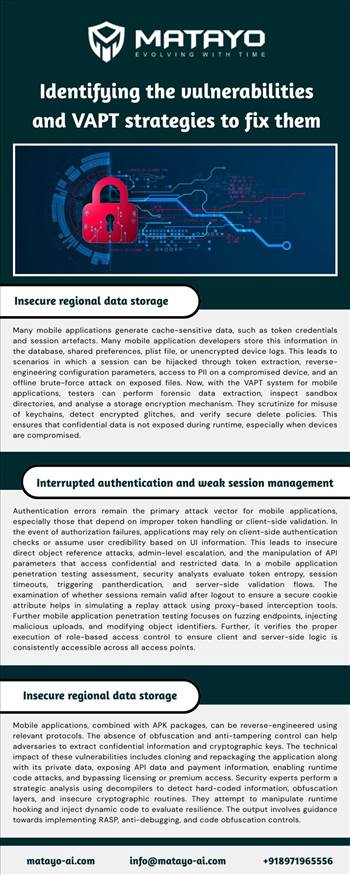 Identifying the vulnerabilities and VAPT strategies to fix them.jpg by Matayo