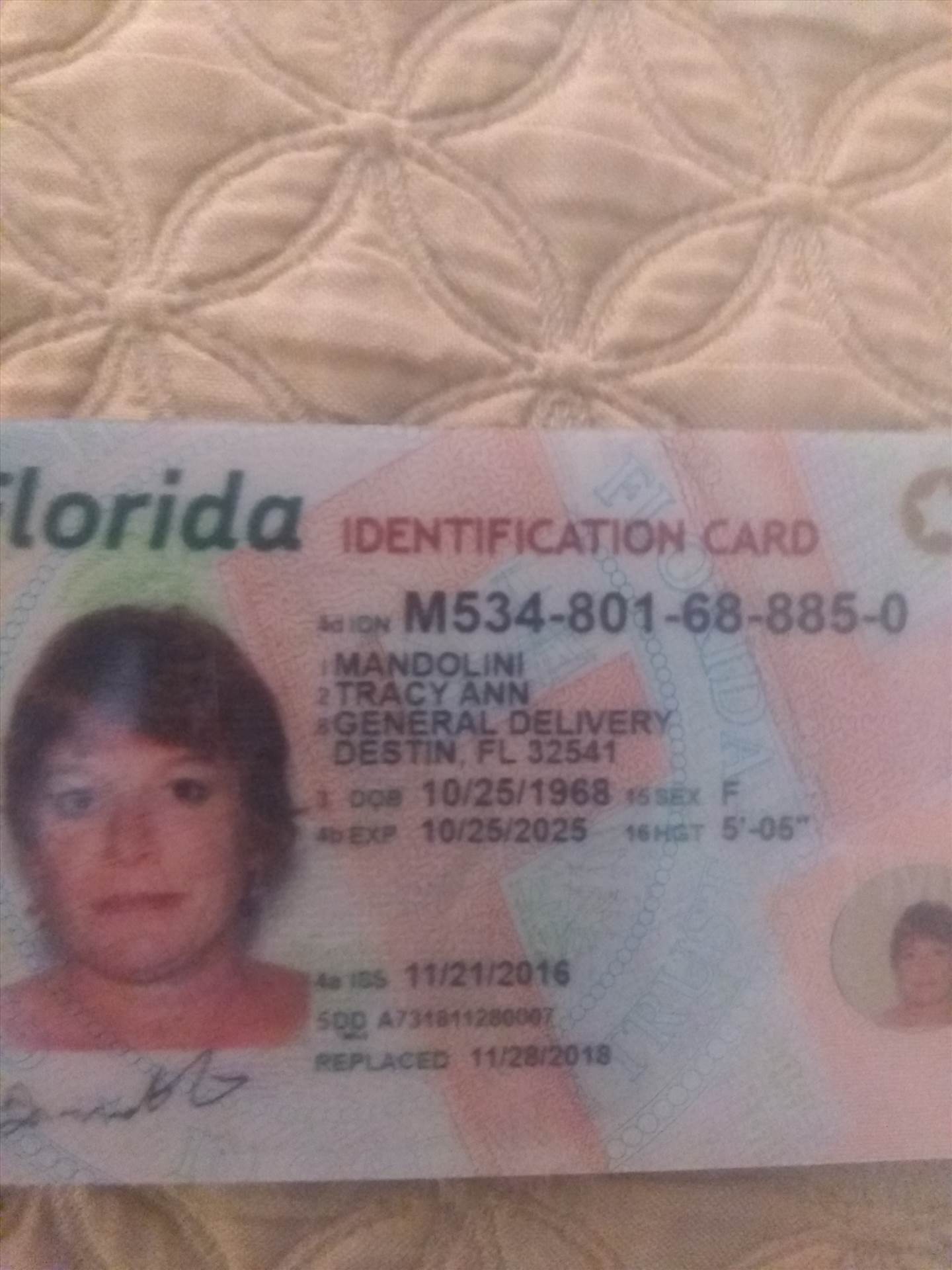 IMG_20181228_094257456.jpg  by Tracydoes