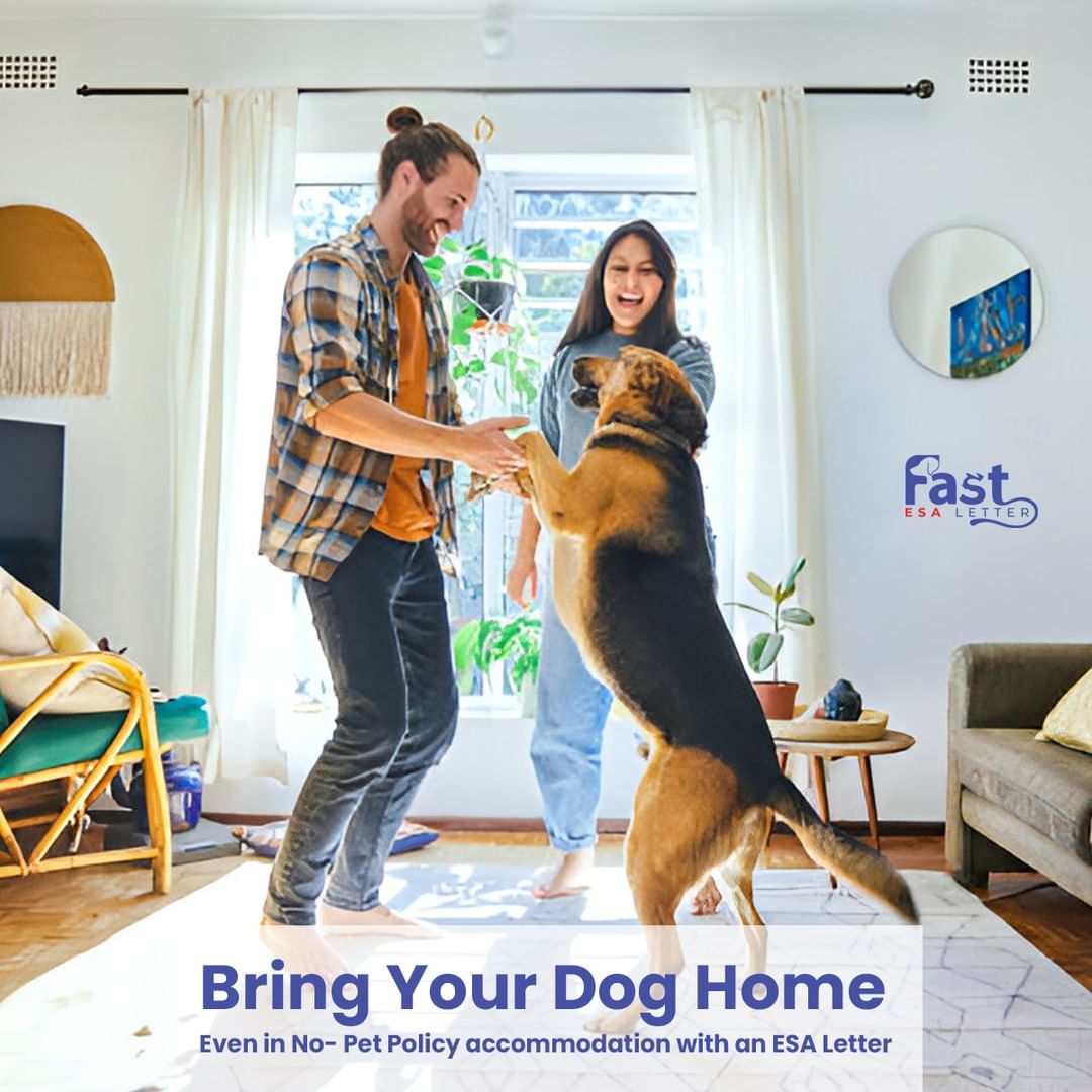 Bring Your Dog Home with an ESA Letter!.jpg Tired of facing housing restrictions that keep you and your pet apart? An ESA letter can help you live with your emotional support animal, even in pet-restricted accommodations. Get your letter quickly and hassle-free at Fast ESA Letter and make home a ha by justinfoley24