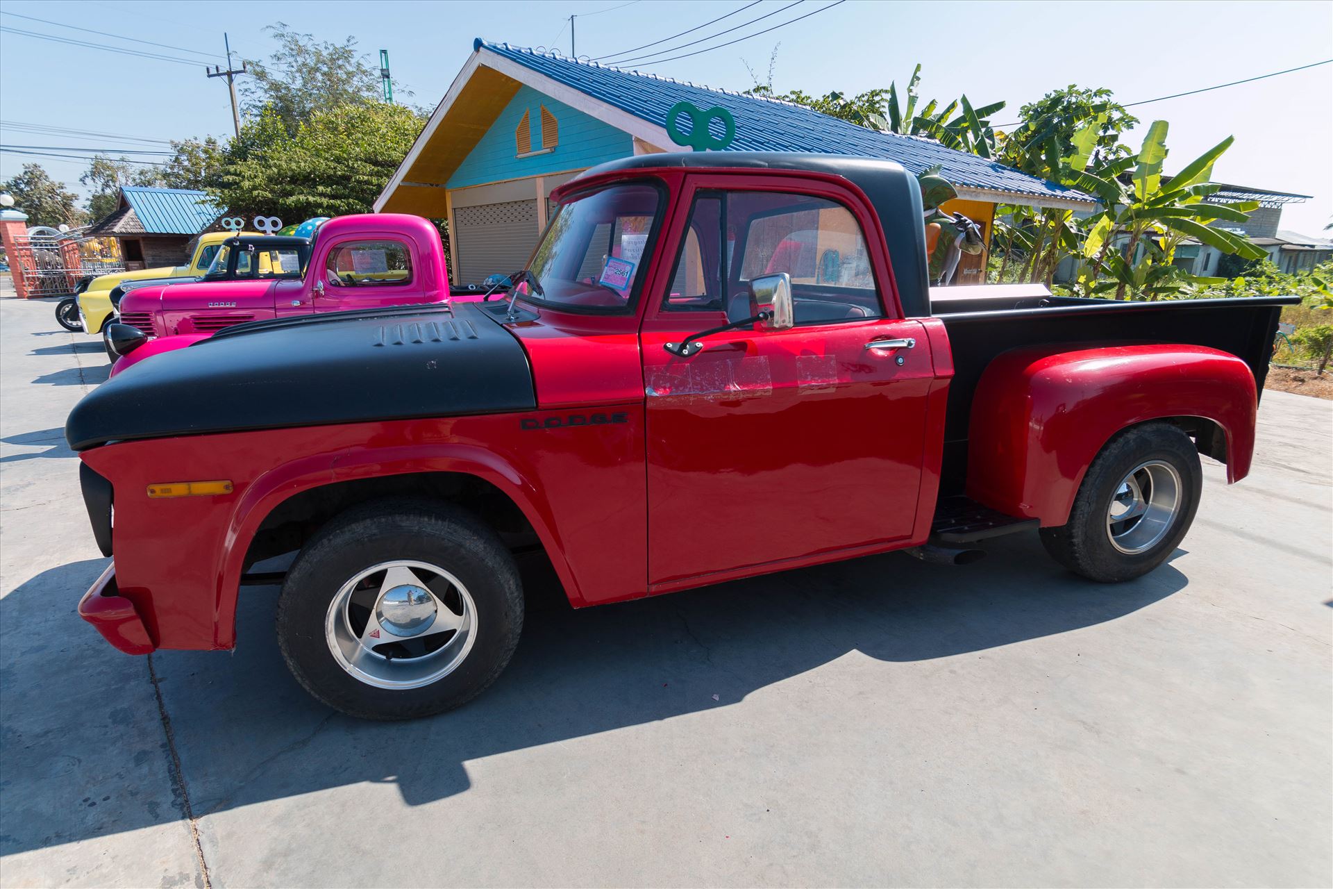 1967 vintage dodge pickup truck  by AnnetteJohnsonPhotography