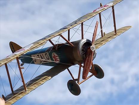 Japanese Sopwith Pup (Loire et Olivier built).  J-TALO, unknown owner, mid 1920s  by ScottUehl