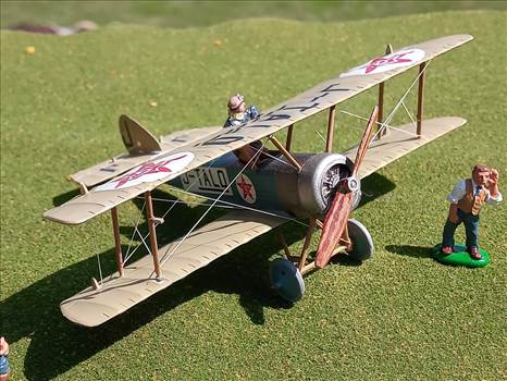 Japanese Sopwith Pup (Loire et Olivier built).  J-TALO, unknown owner, mid 1920s  by ScottUehl