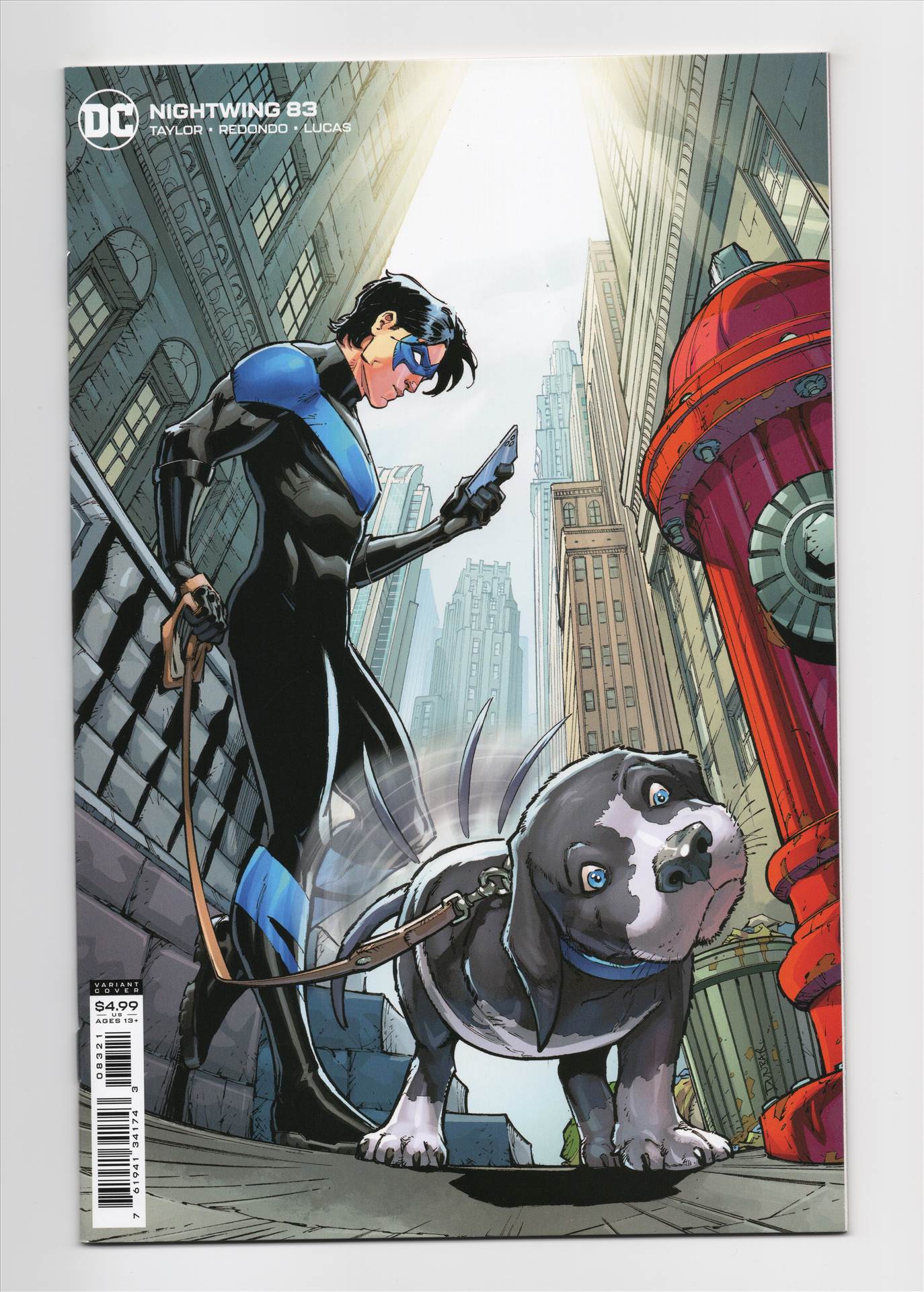 nightwing__013.jpg  by comdude22