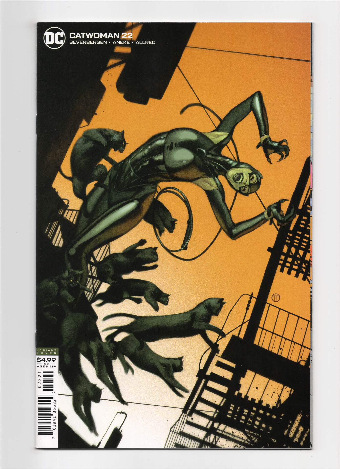 Catwoman__043.jpg  by comdude22
