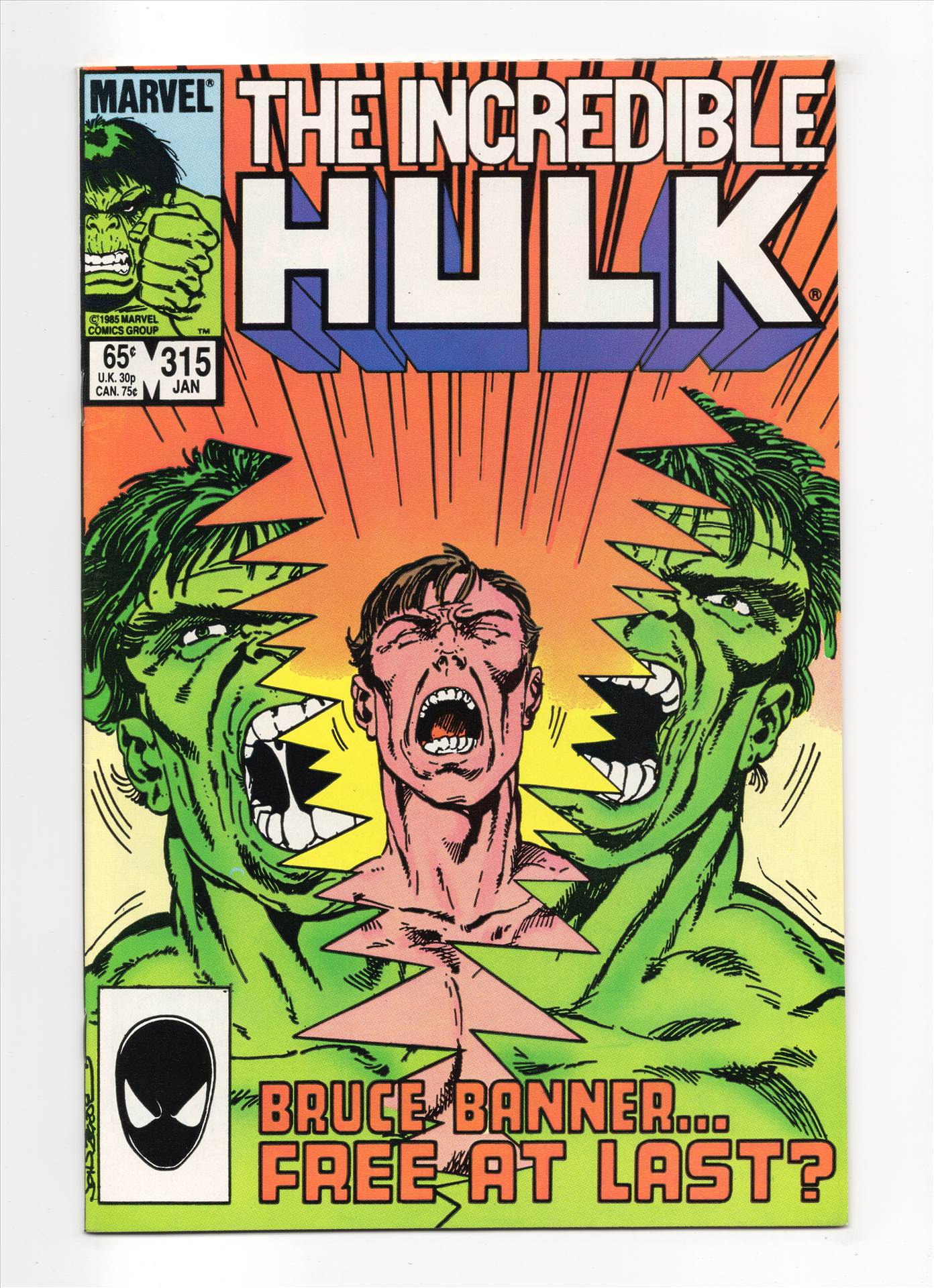 Hulk__077.jpg  by comdude22