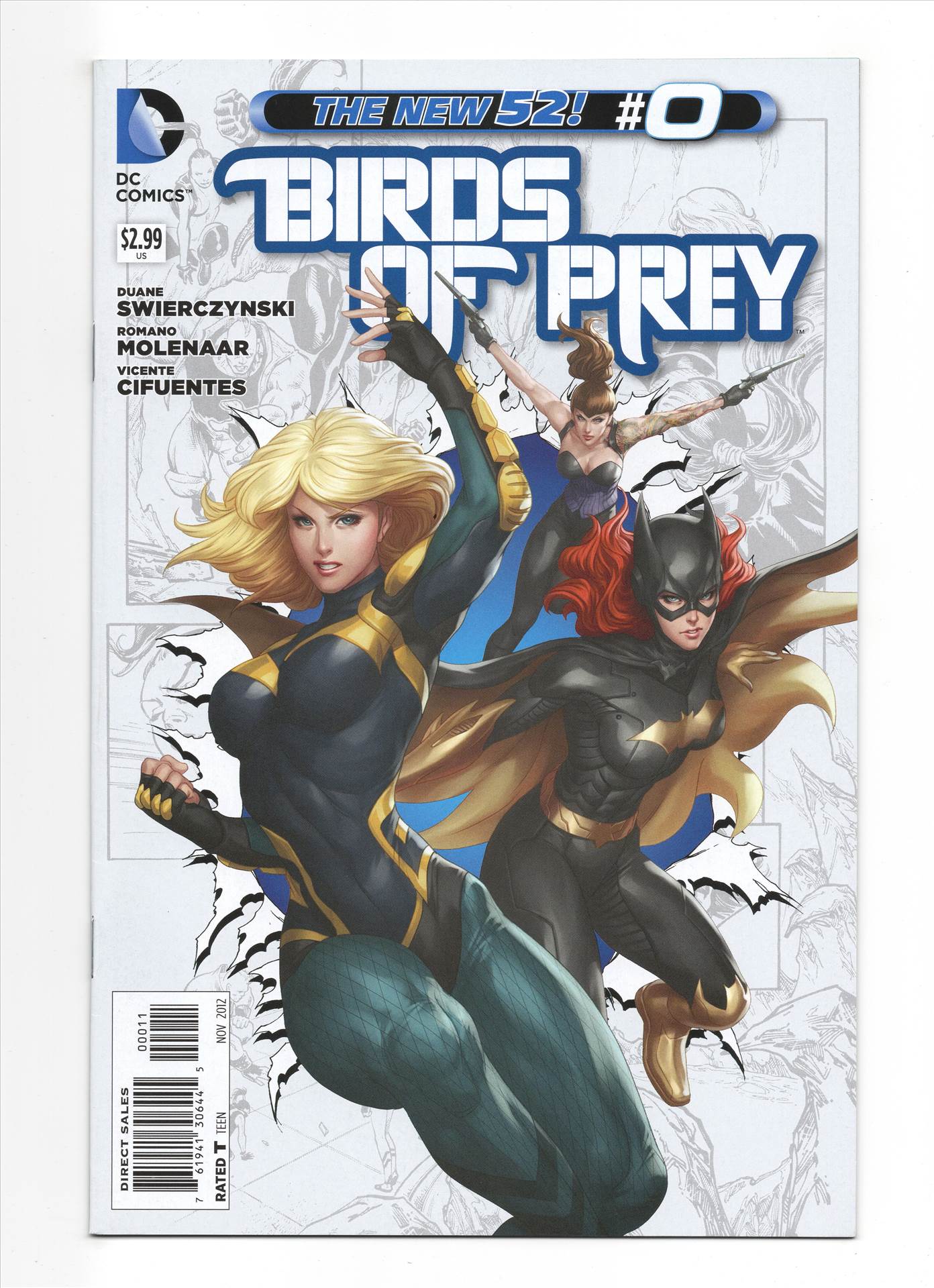 BIRDSOFPrey__087.jpg  by comdude22