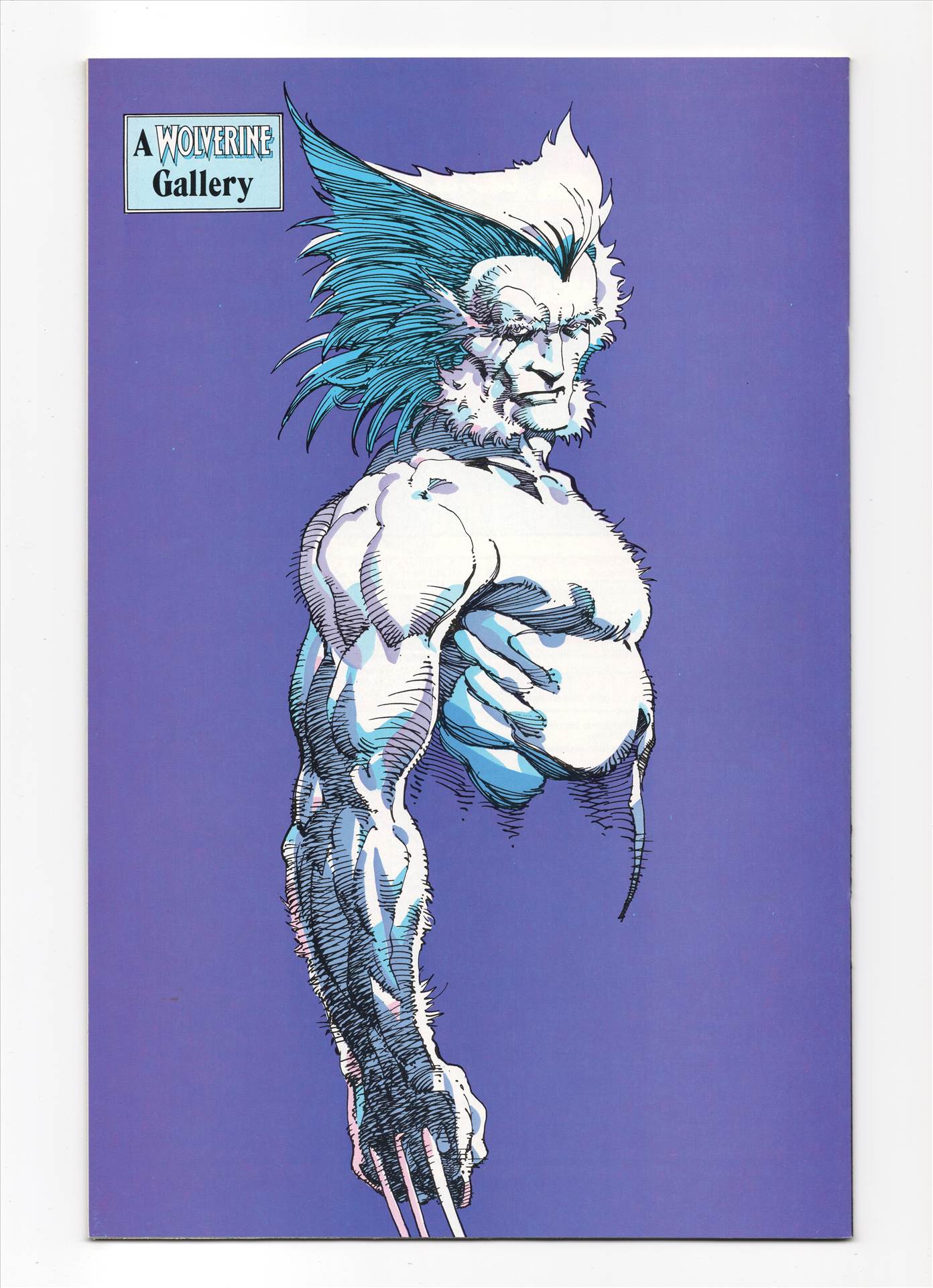 Wolverine__008.jpg  by comdude22