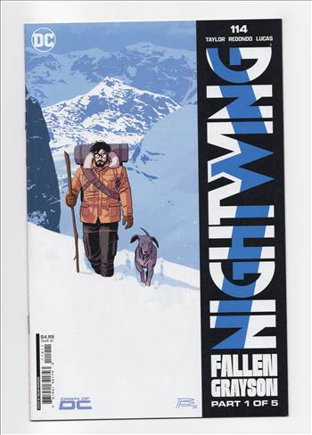 nightwing__081.jpg - 