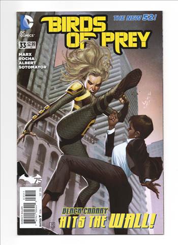 BIRDSOFPrey__111.jpg by comdude22