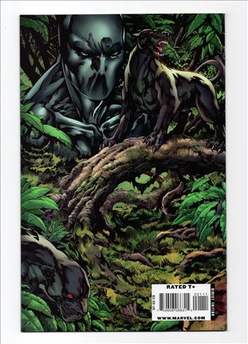 Marvels__002.jpg - 