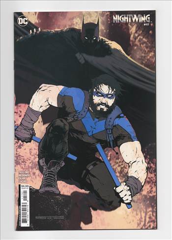 nightwing__083.jpg - 