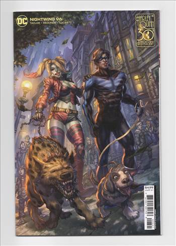 nightwing__059.jpg - 