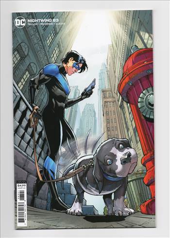 nightwing__013.jpg - 