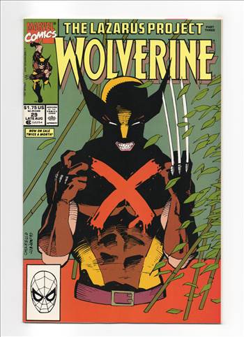 Wolverine__043.jpg - 
