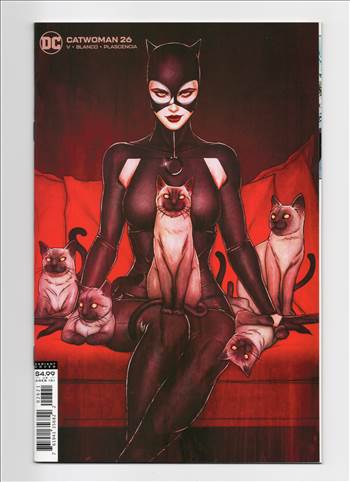 Catwoman__047.jpg by comdude22
