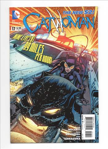 Catwoman__035.jpg by comdude22