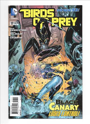 BIRDSOFPrey__101.jpg by comdude22