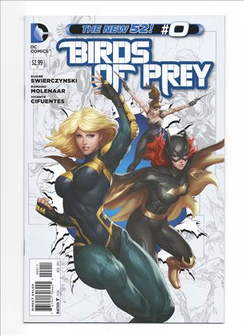 BIRDSOFPrey__087.jpg by comdude22