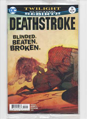 Deathstroke__057.jpg by comdude22