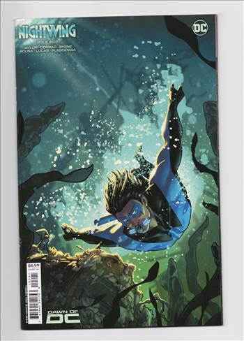 nightwing__071.jpg - 