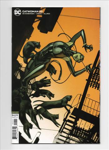Catwoman__043.jpg - 