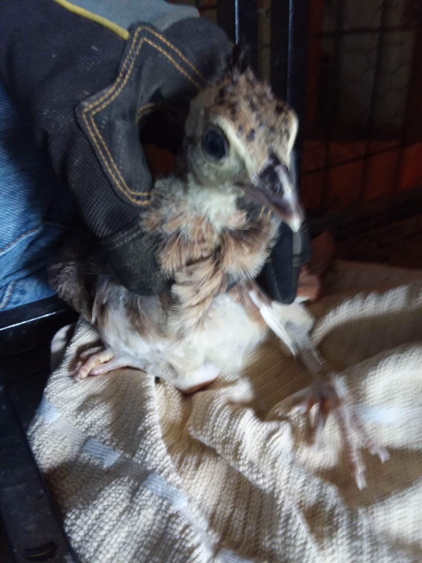 20200723_145724.jpg  by mrichey56