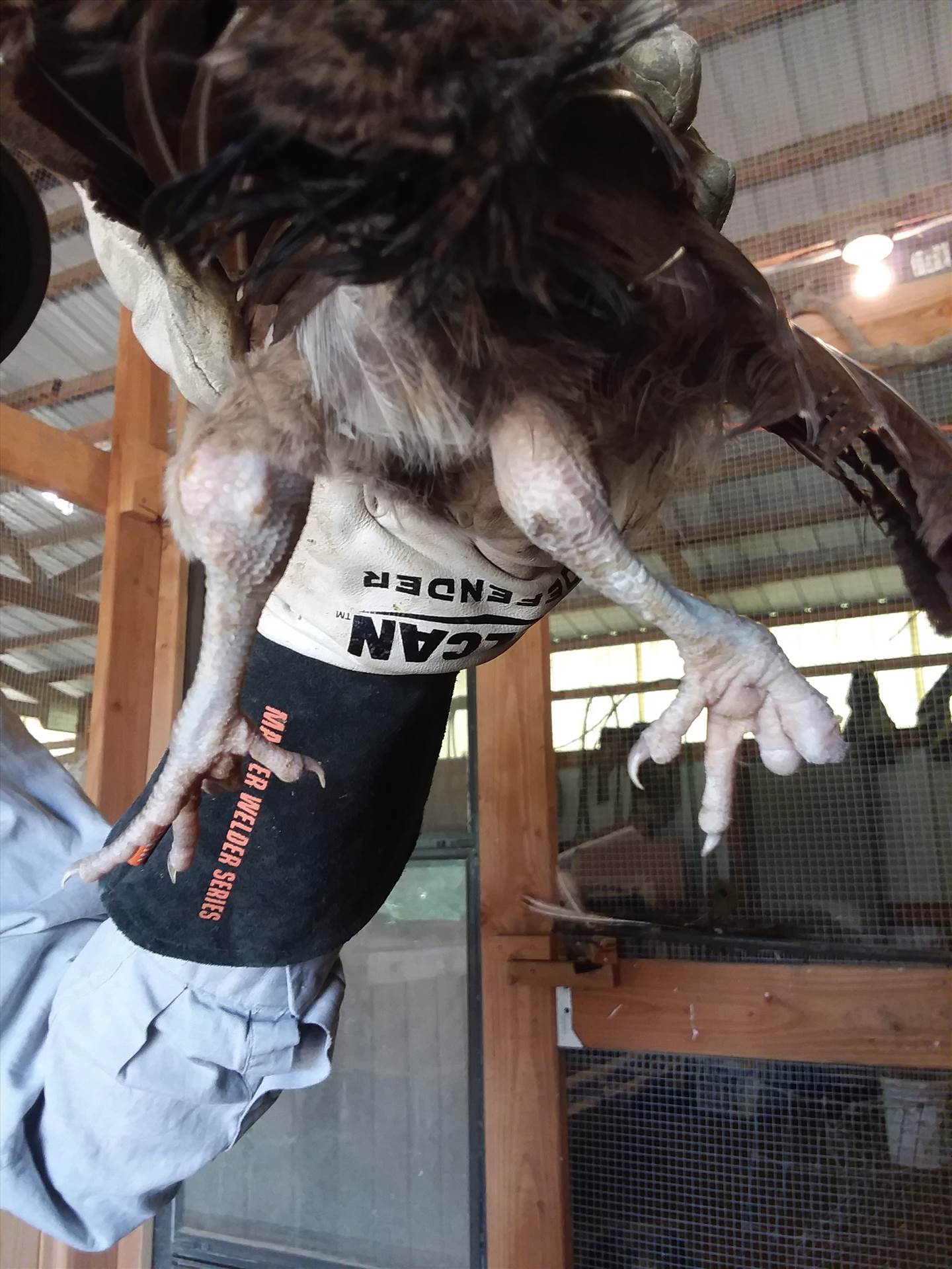 20200802_144737.jpg  by mrichey56