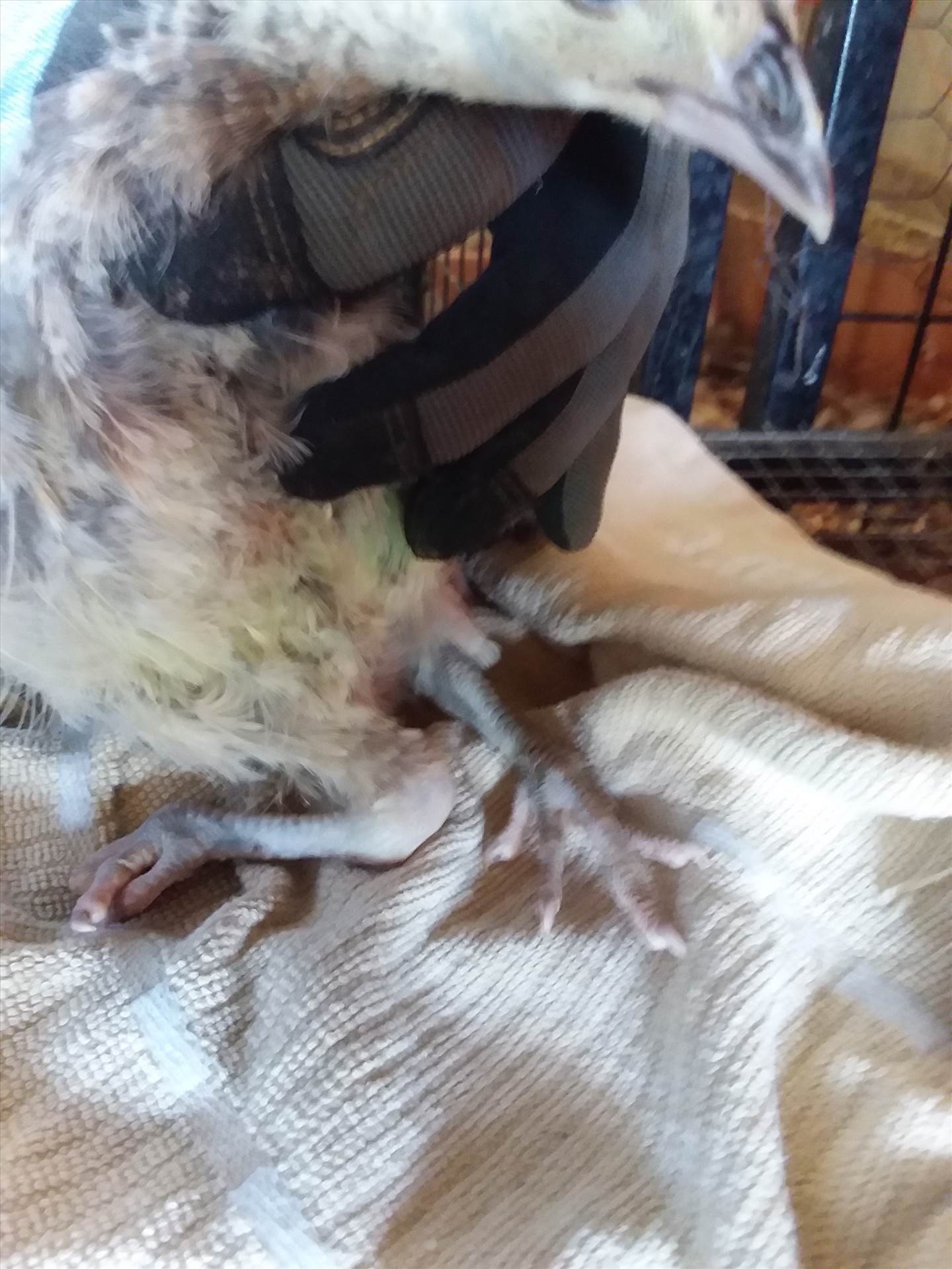 20200723_145842.jpg  by mrichey56