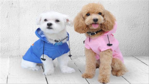 Superpetmate.com has a huge selection of dog beds, dog clothing, pets accessories. Visit our online pet store and buy pets products, toys with affordable price.

Visit here: - https://superpetmate.com/