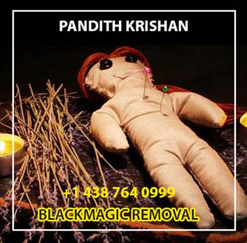Pandit Krishna is a gold medalist in Indian astrology best and famous astrologer in Montreal, Canada. They provide psychic, spiritual healer voodoo spells, spell caster and black magic removal solutions and much more.

Website: - https://www.psychic-kri