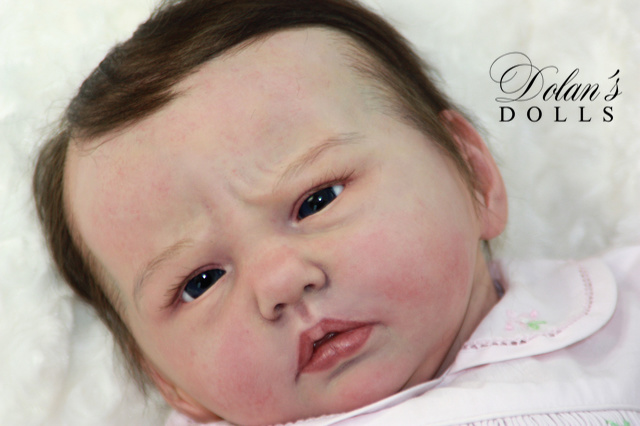 levi10.jpg  by Kathleen Moller-3131