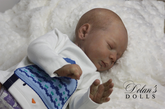 levi20 (1).jpg  by Kathleen Moller-3131