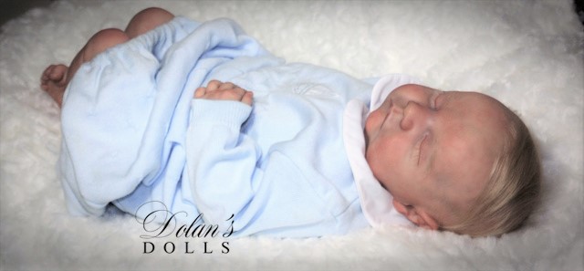 levi14.jpg  by Kathleen Moller-3131