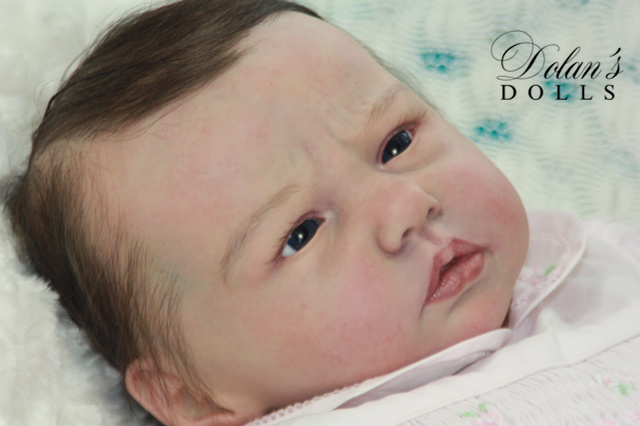 levi7.jpg  by Kathleen Moller-3131