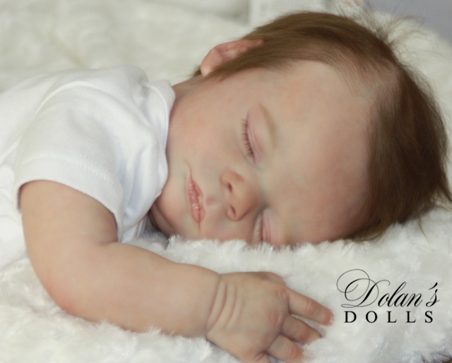 levi28.jpg  by Kathleen Moller-3131