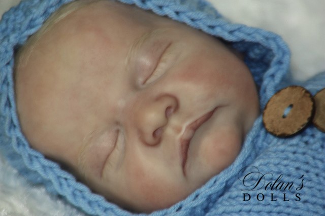 levi4.jpg  by Kathleen Moller-3131