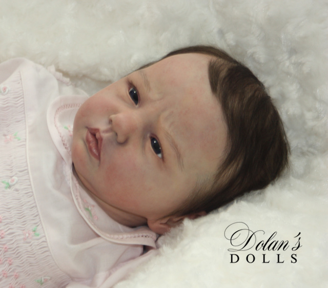 levi13.jpg  by Kathleen Moller-3131