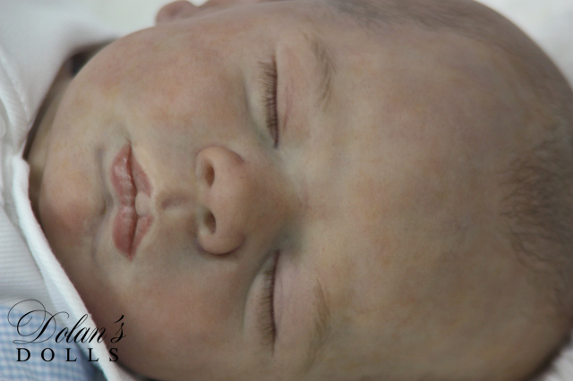 levi8 (1).jpg  by Kathleen Moller-3131