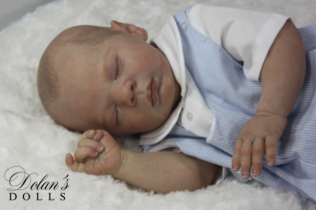 levi12 (1).jpg  by Kathleen Moller-3131