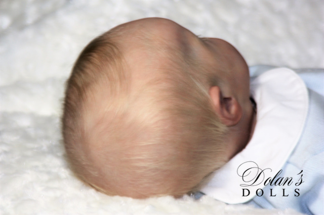 levi27.jpg  by Kathleen Moller-3131