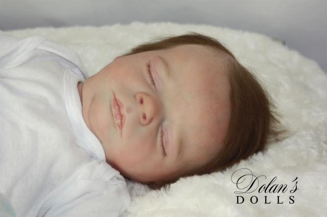 levi18.jpg  by Kathleen Moller-3131