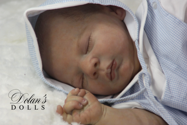 levi14 (1).jpg  by Kathleen Moller-3131