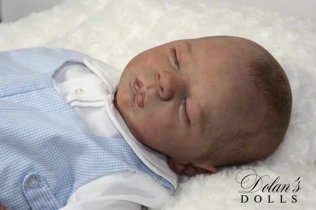 levi5 (1).jpg  by Kathleen Moller-3131