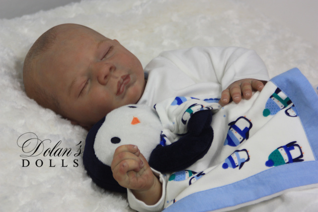 levi27.jpg  by Kathleen Moller-3131