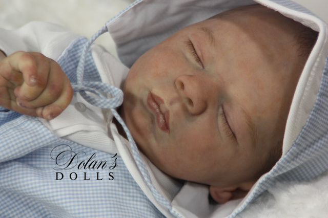 levi16 (1).jpg  by Kathleen Moller-3131